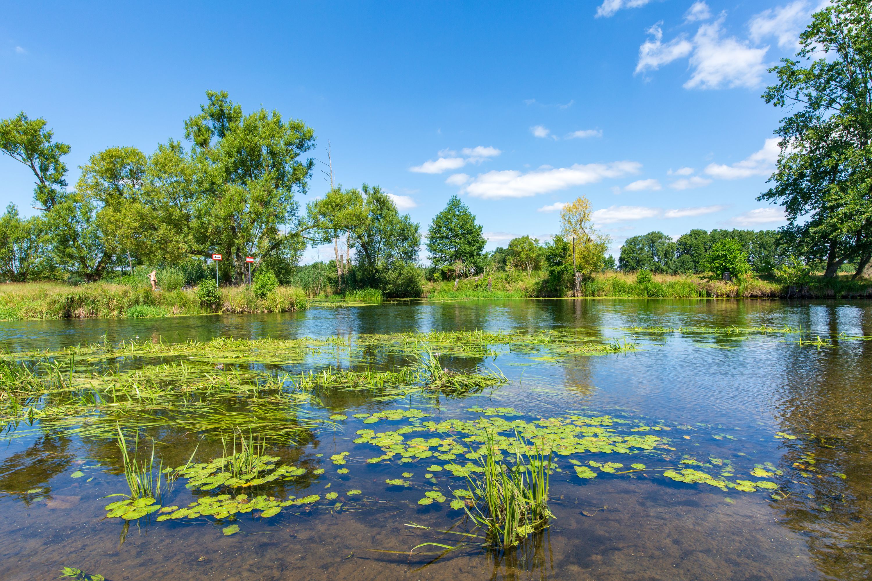 Foto: Florian Läufer, Lizenz: Seenland Oder-Spree e.V.